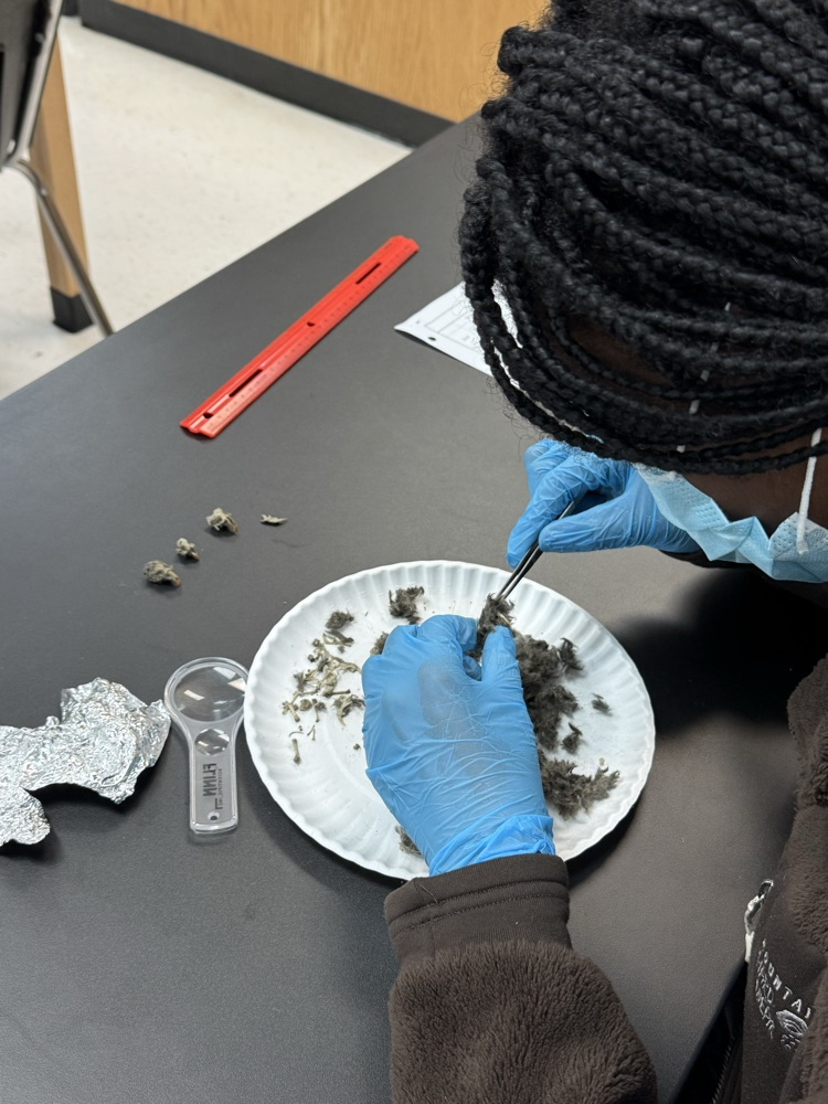 dissection