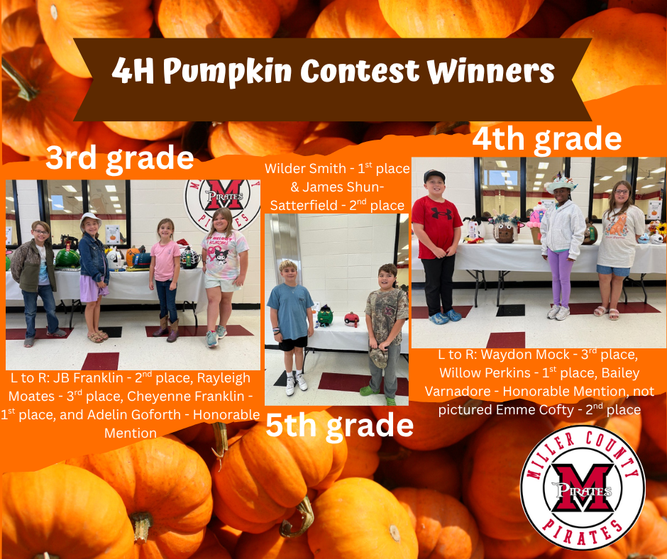 4H Pumpkin Contest Winners