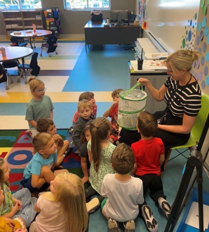 Kindergarten Butterflies