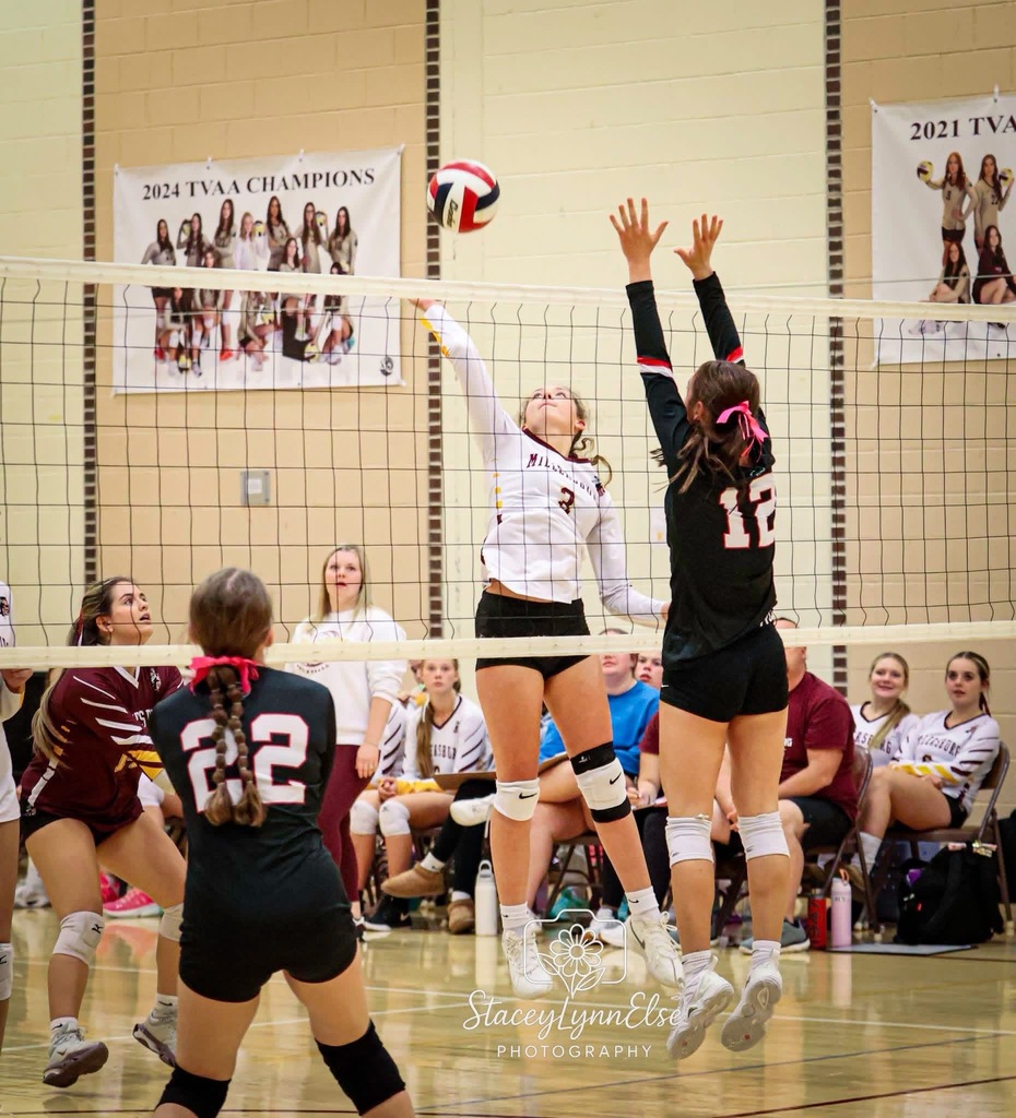Volleyball