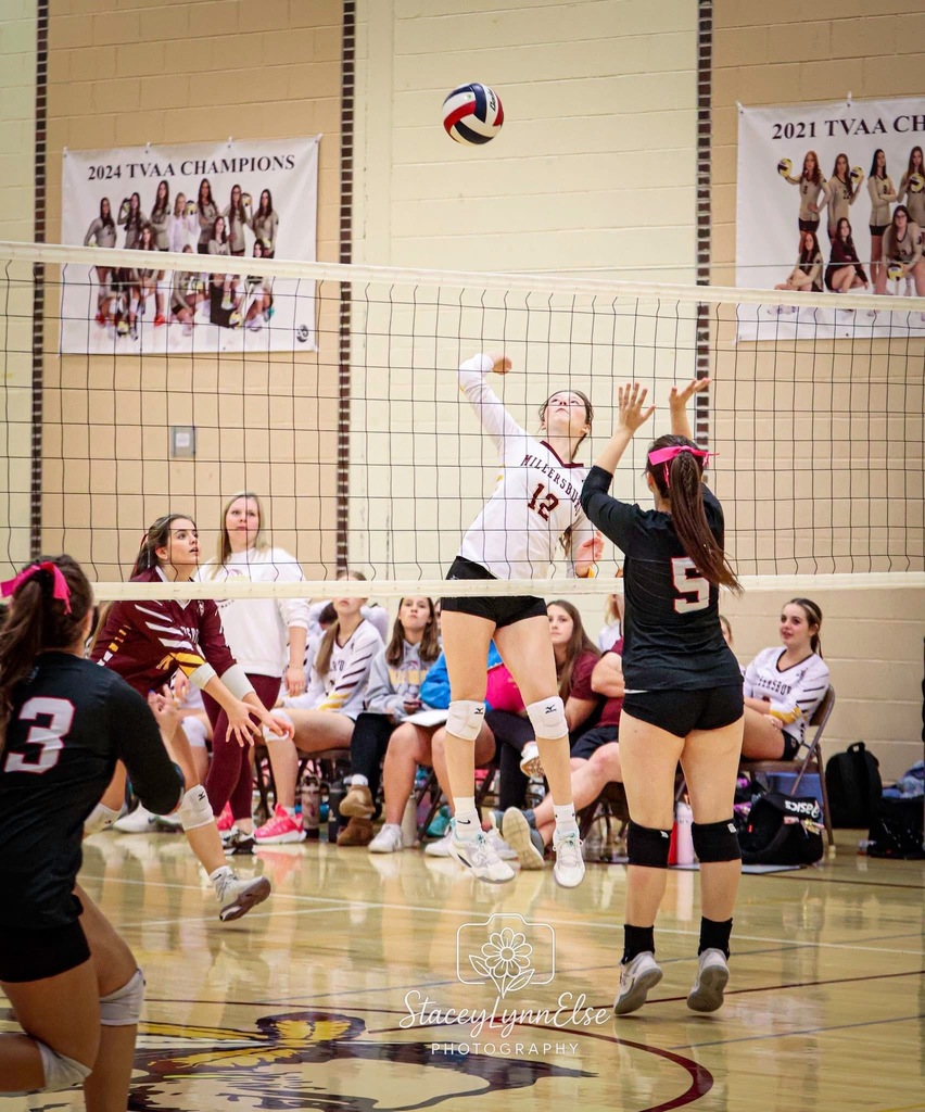 Volleyball