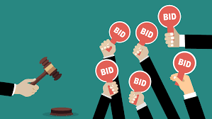 Auction bidding paddles