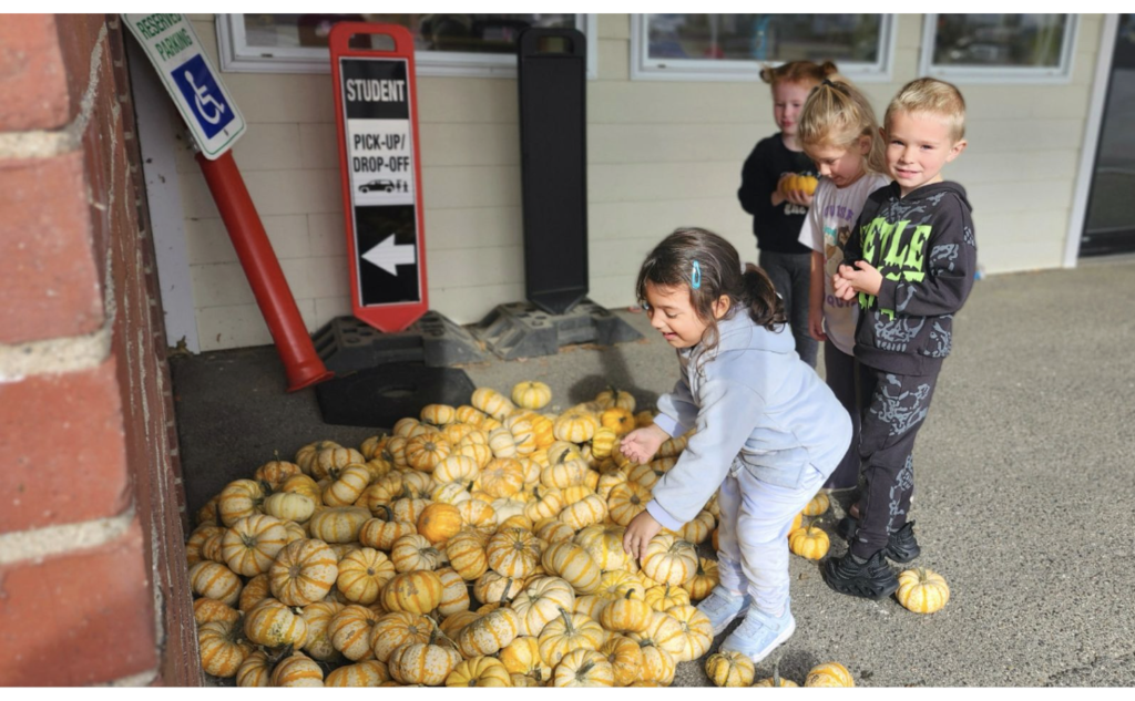 Screenshot 2025-10-31 at 1