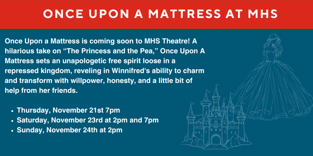 Once Upon a Mattress