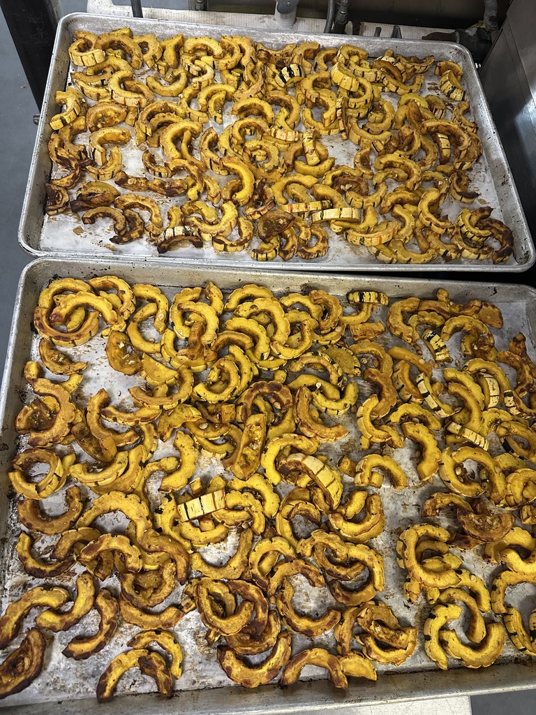 Delicata Squash