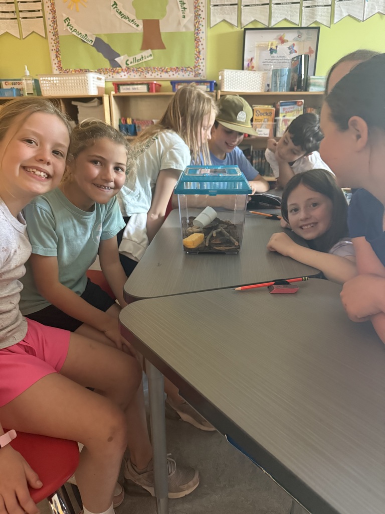 3rd grade science