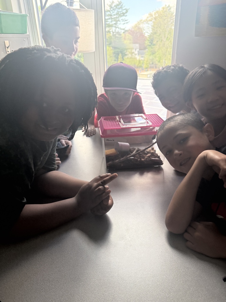 3rd grade science