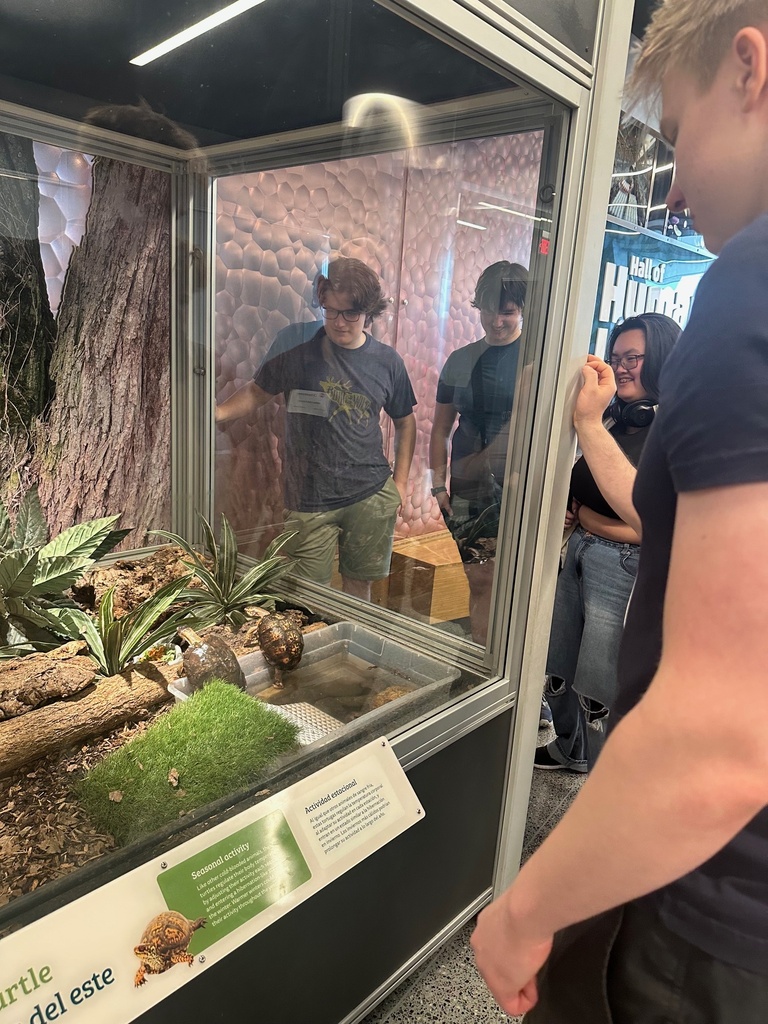 AP Physics at Museum of Science 