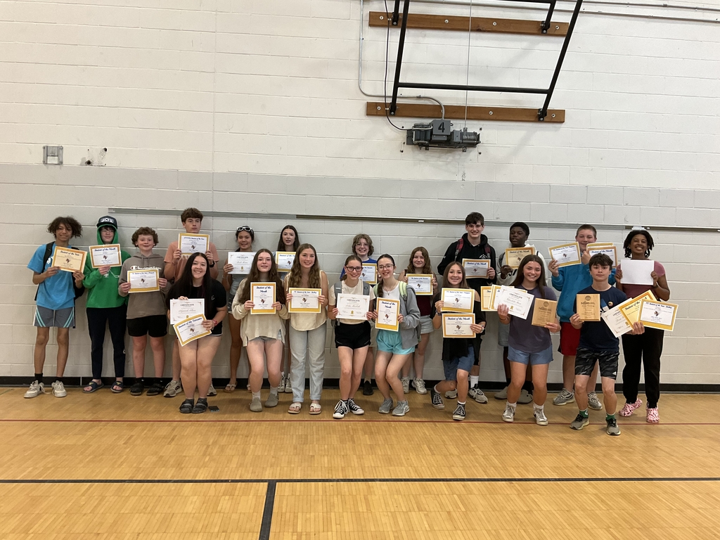 Distinguished Student Awards