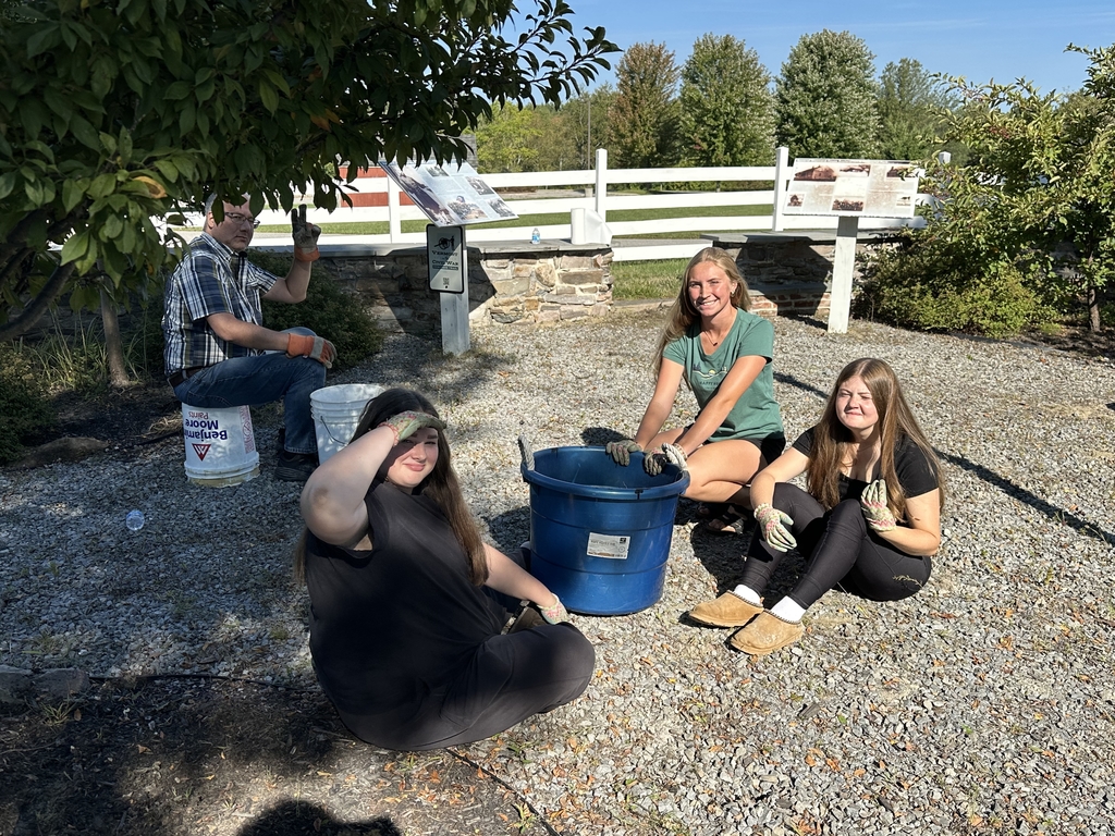 MHS Day of Service