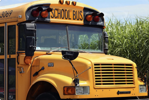 Bus Routes