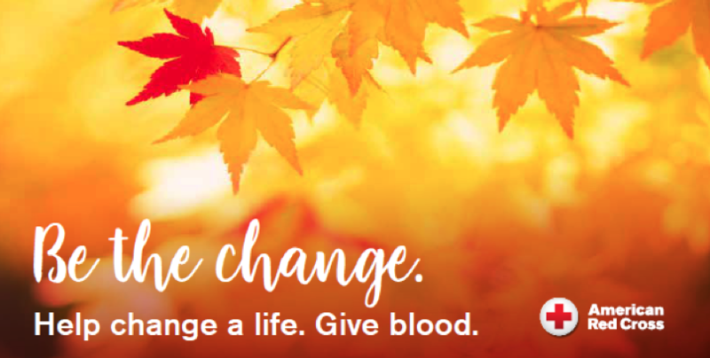 Be the Change (Red Cross Image)