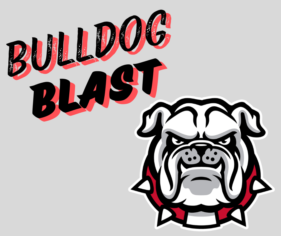 bulldog blast