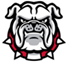 Bulldog Head Logo with red collar