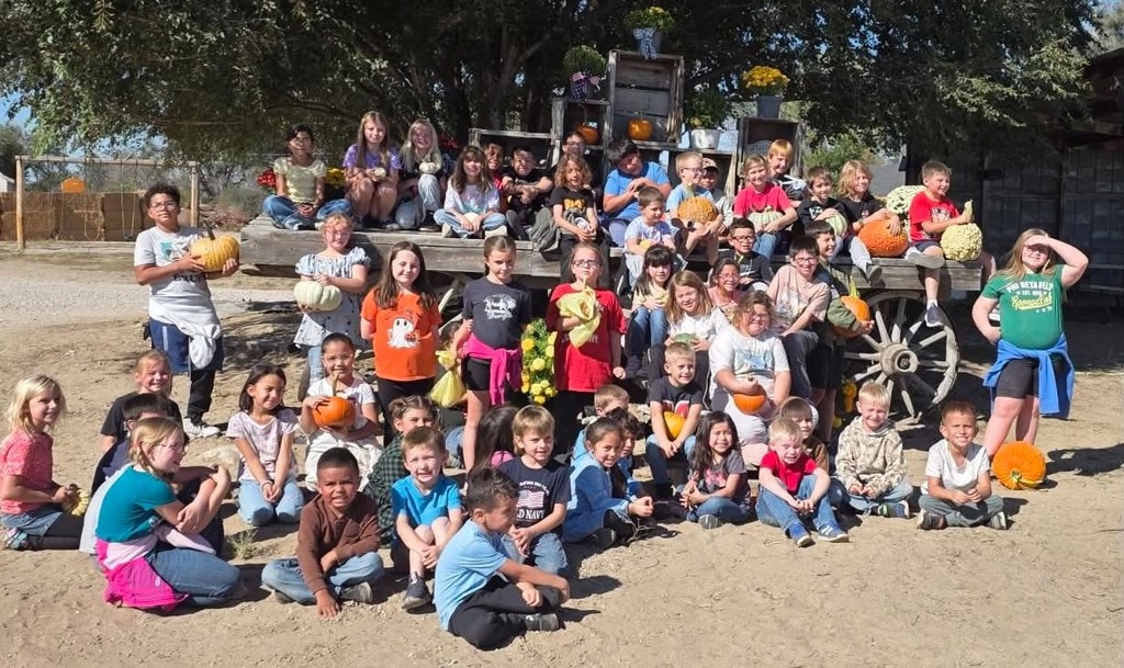 Elementary pumpkin patch