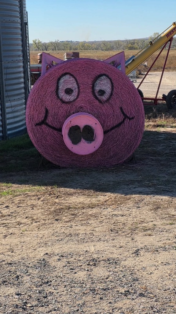 Patch pig