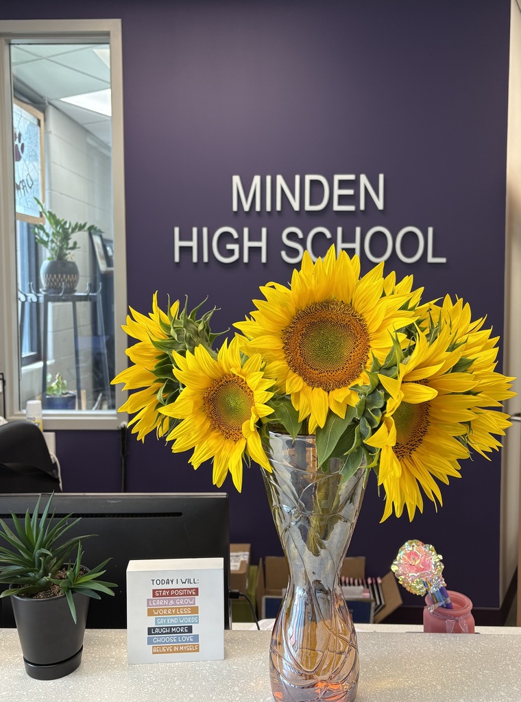 Nielsen's Sunflowers