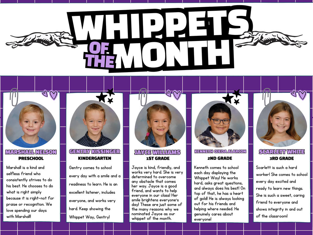 December Whippets of the Month