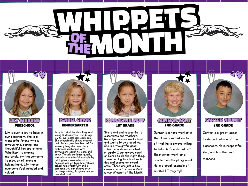 March - Whippet of the Month