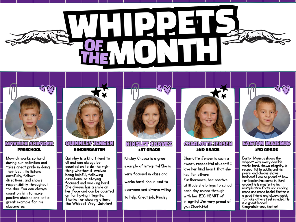 April - Whippets of the month
