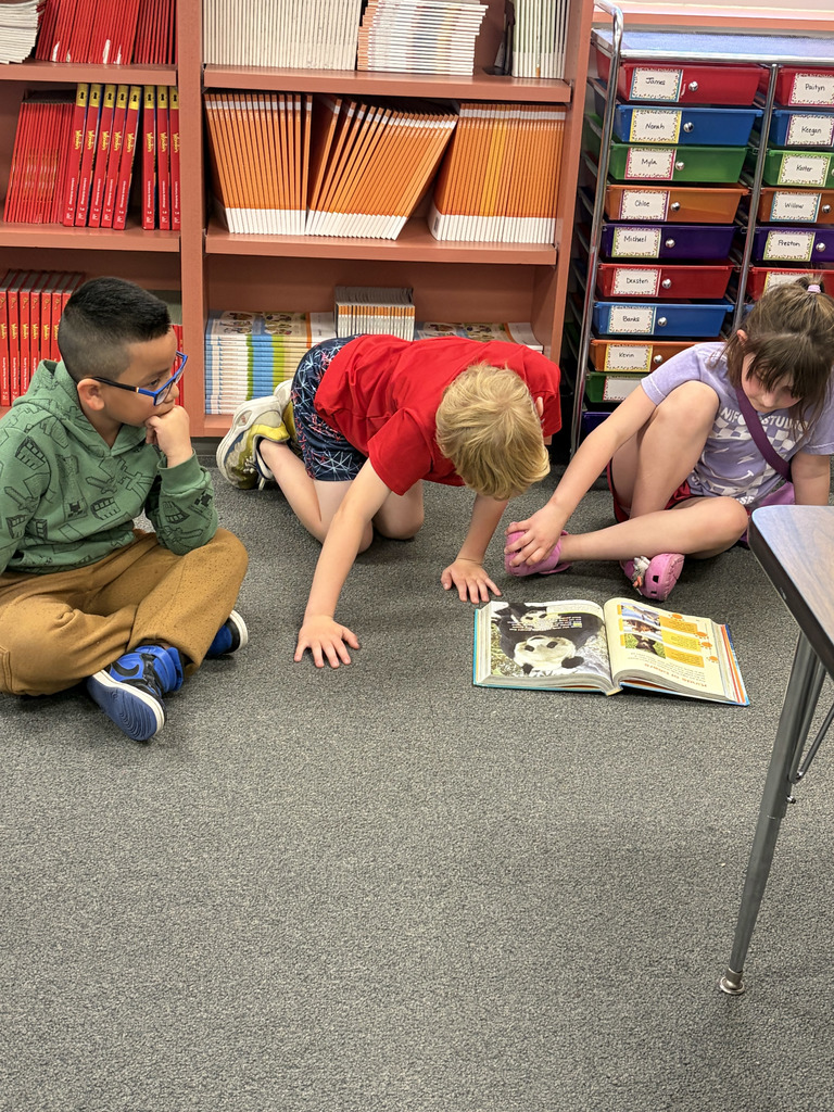 1st & 2nd grade reading buddies