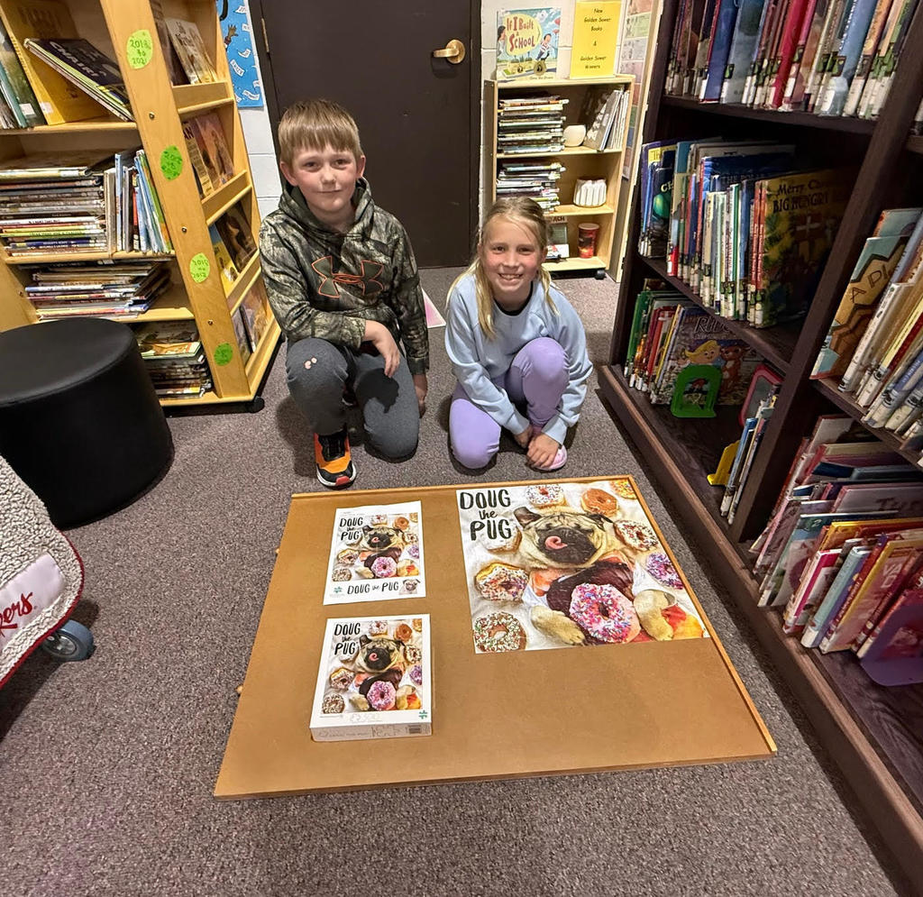 Library Puzzle