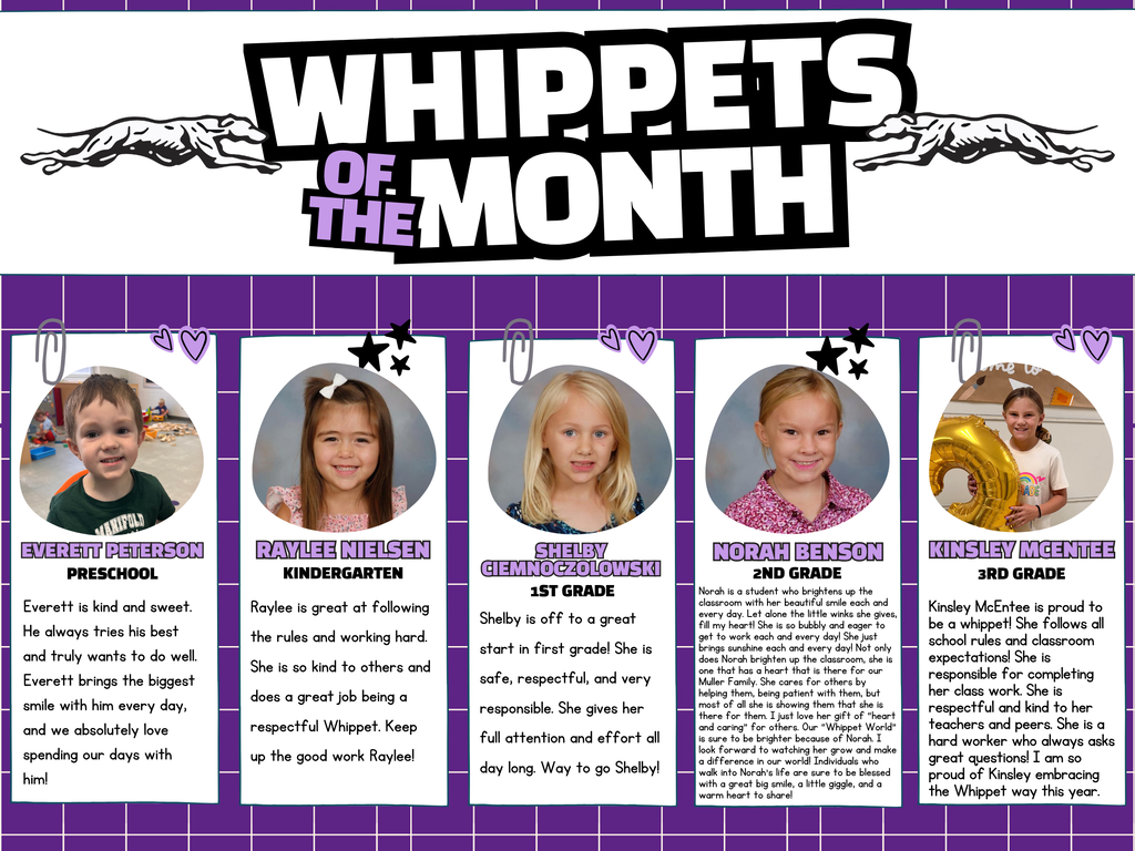 September - Whippets of the Month