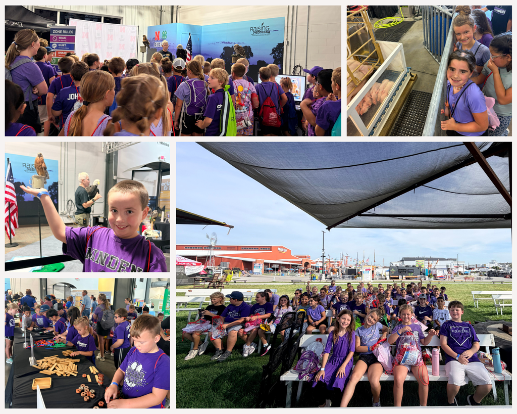 3rd grade - state fair