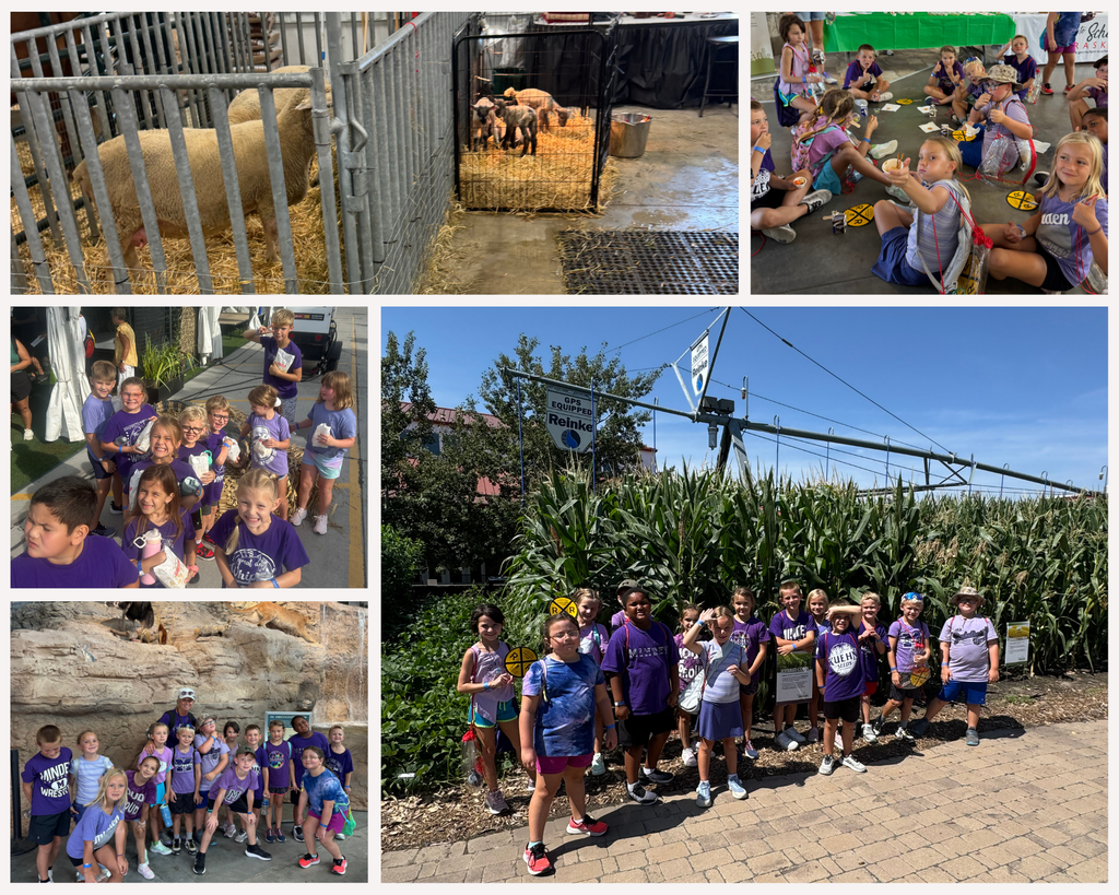 2nd grade - state fair
