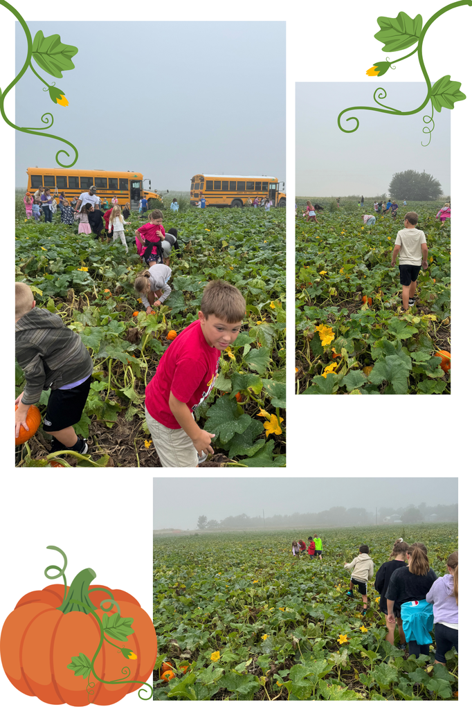 Pumpkin Patch 2026