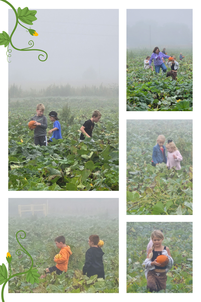 Pumpkin Patch 2026