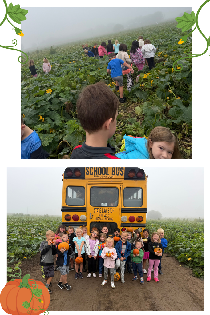 Pumpkin Patch 2026