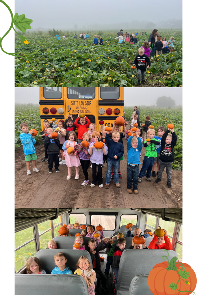 Pumpkin Patch 2026
