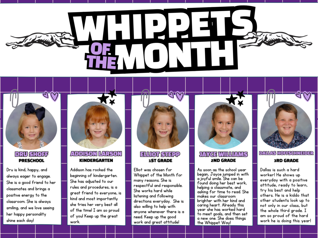 October - Whippets of the Month