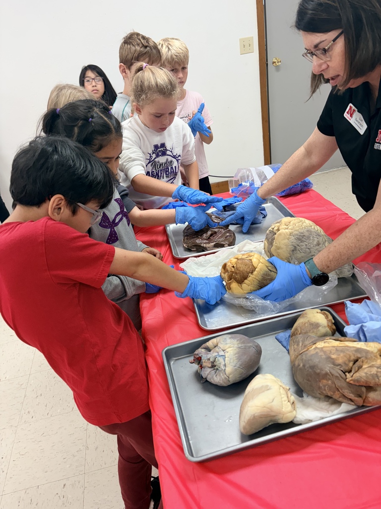 3rd grade - Animals Inside-Out 
