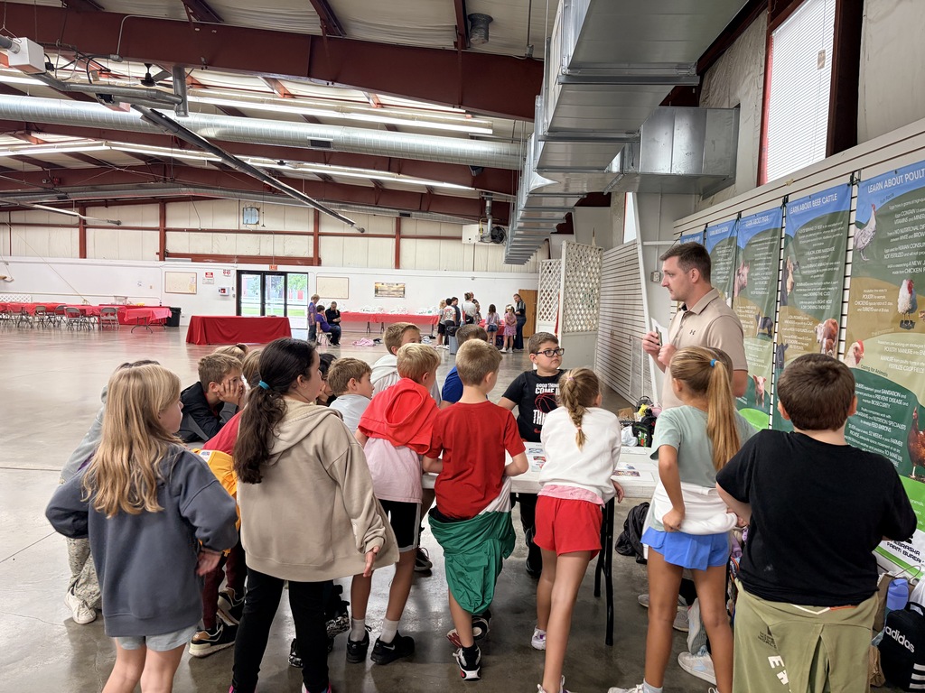 3rd grade - Animals Inside-Out 