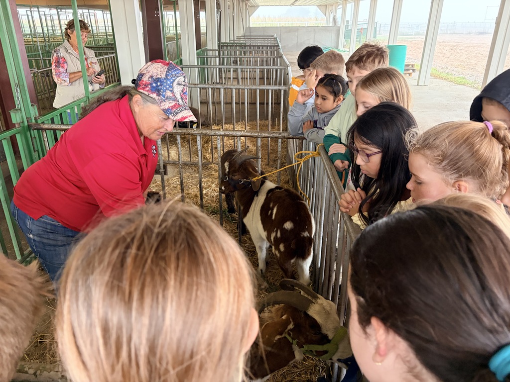 3rd grade - Animals Inside-Out 
