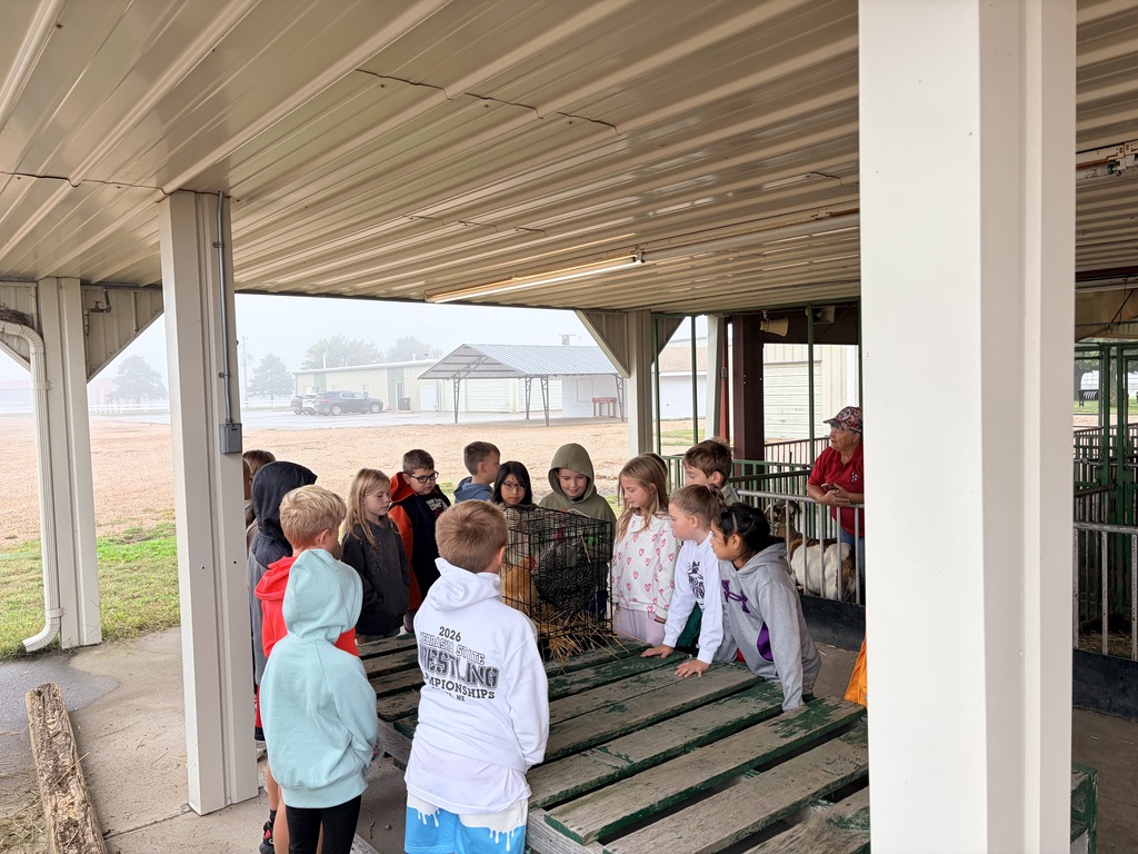 3rd grade - Animals Inside-Out 