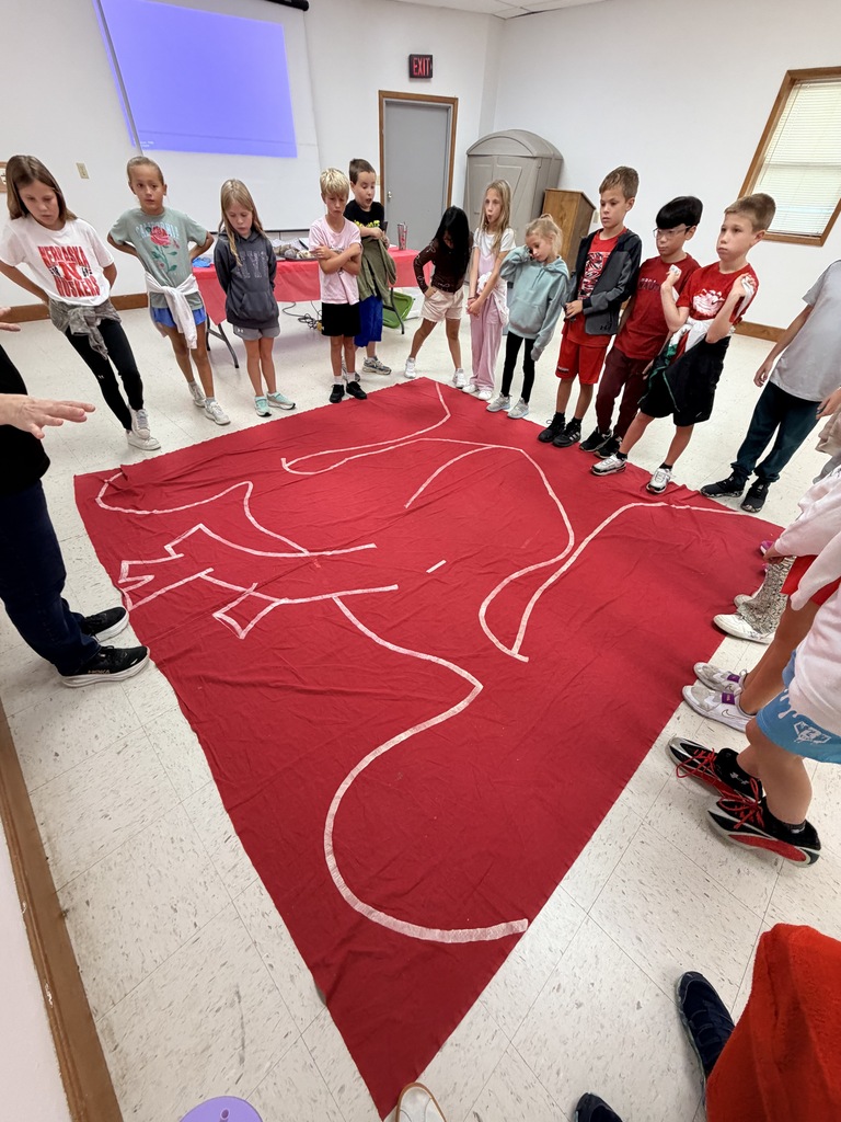 3rd grade - Animals Inside-Out 