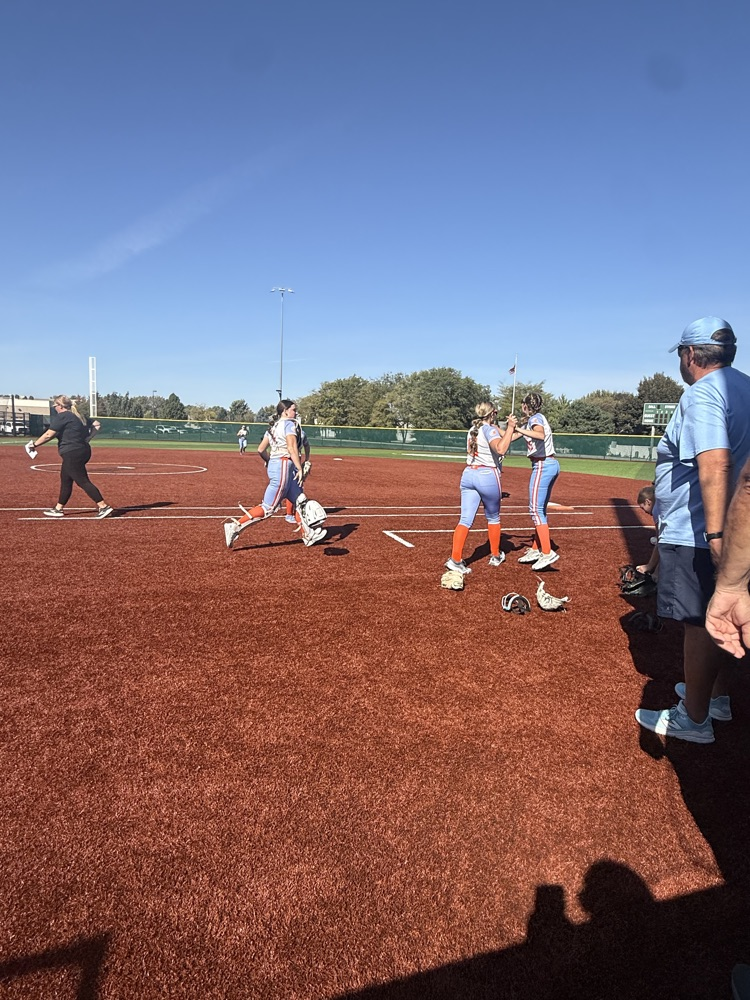 softball softballs soft 