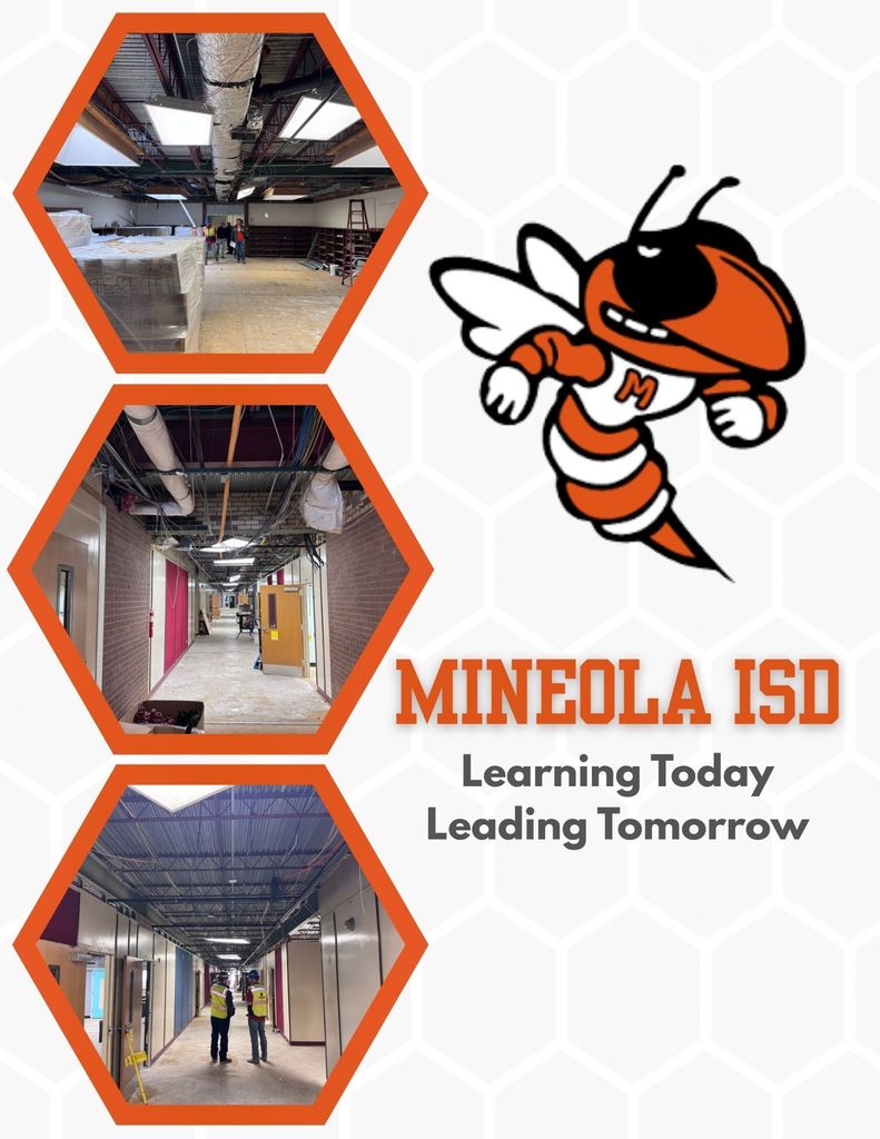 Mineola ISD Marketing Campaign