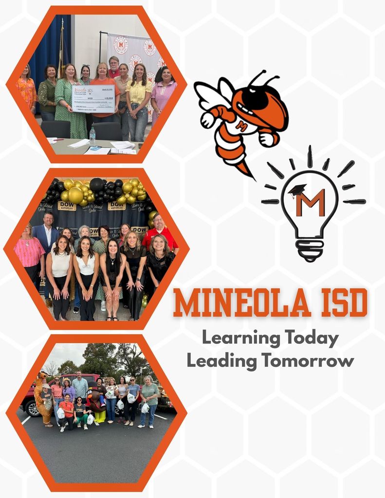 Mineola Education Foundation 