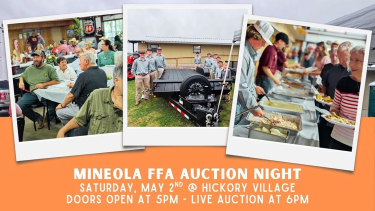 Mineola FFA Auction