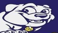 bulldog image