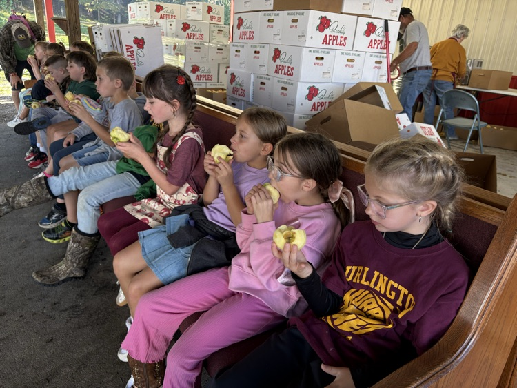 A photo of students taste testing an apple at the Apple Harvest.