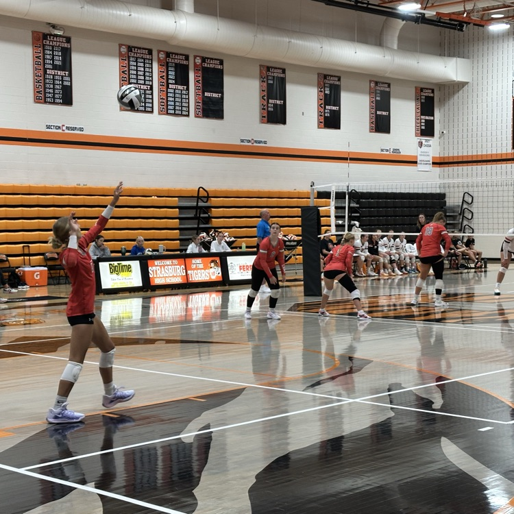 Go Lions — Beat the Tigers!!! 🦁💪🐅