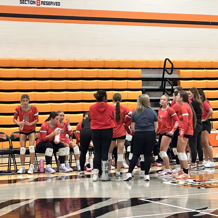 Go Lions — Beat the Tigers!!! 🦁💪🐅