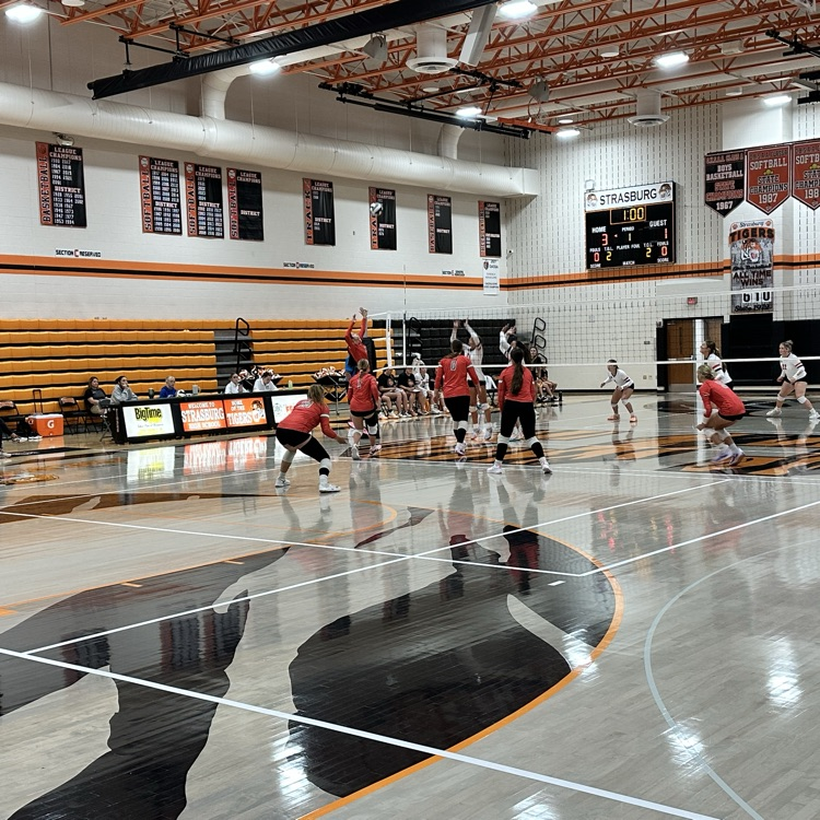 Go Lions — Beat the Tigers!!! 🦁💪🐅