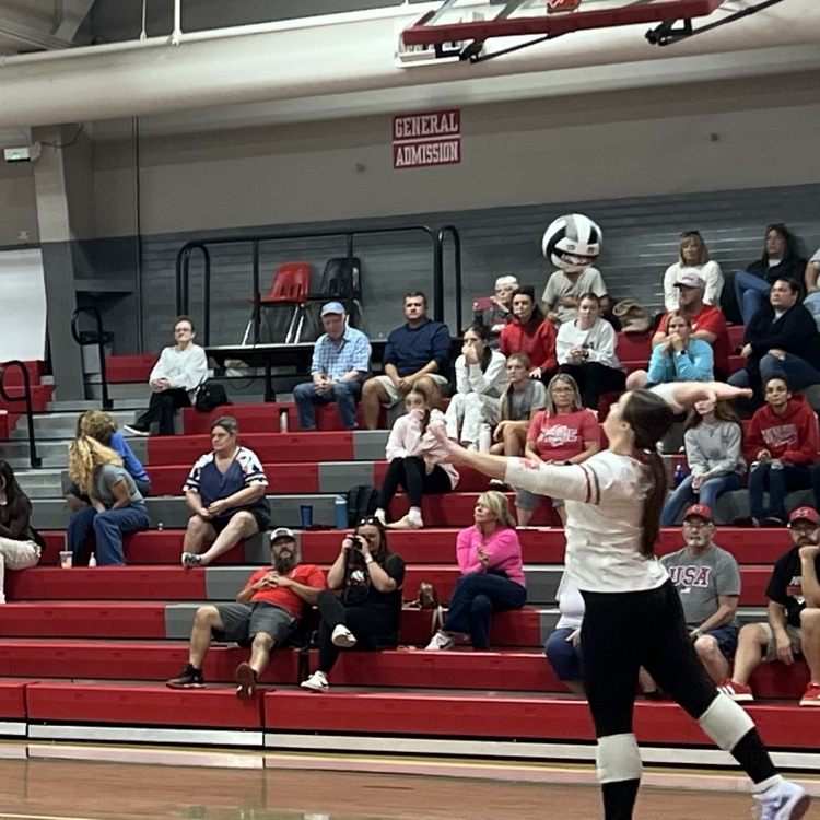 Lion Volleyball!