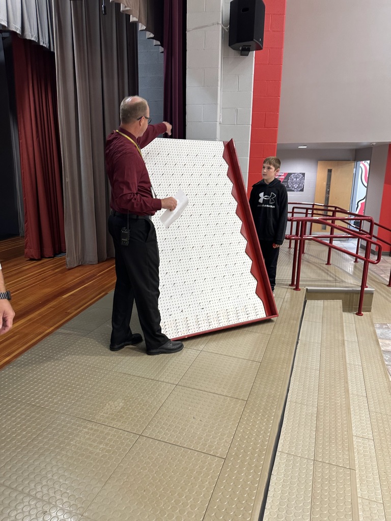Plinko board